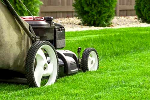 Çimlendirme ve Çim Bakımı