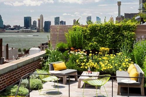 Teras ve Balkon Bahçeciliği