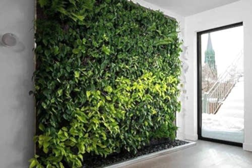 Dikey Bahçe ve Yeşil Duvar Sistemleri
