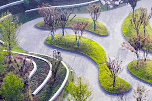 Şehir ve Park Peyzaj Düzenlemeleri