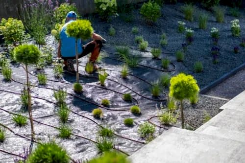 Peyzaj Uygulama ve Düzenleme